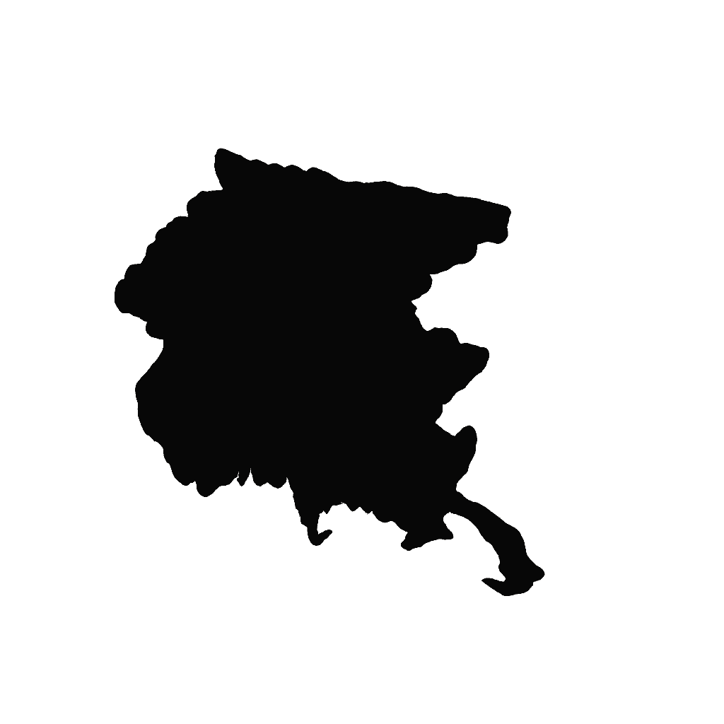 Region icon