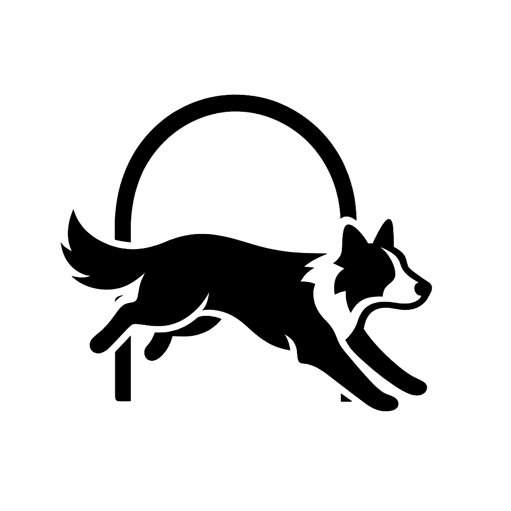 Activity icon
