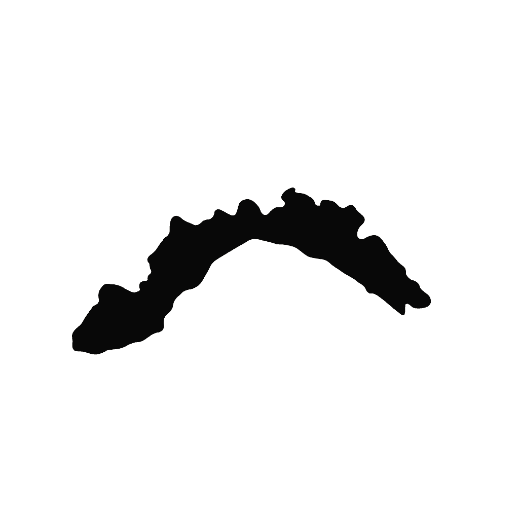 Region icon